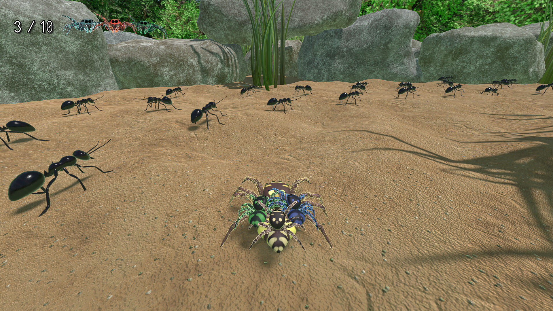 A little Jumpingspider's Garden Adventure (Day 1+2) Screenshot 9