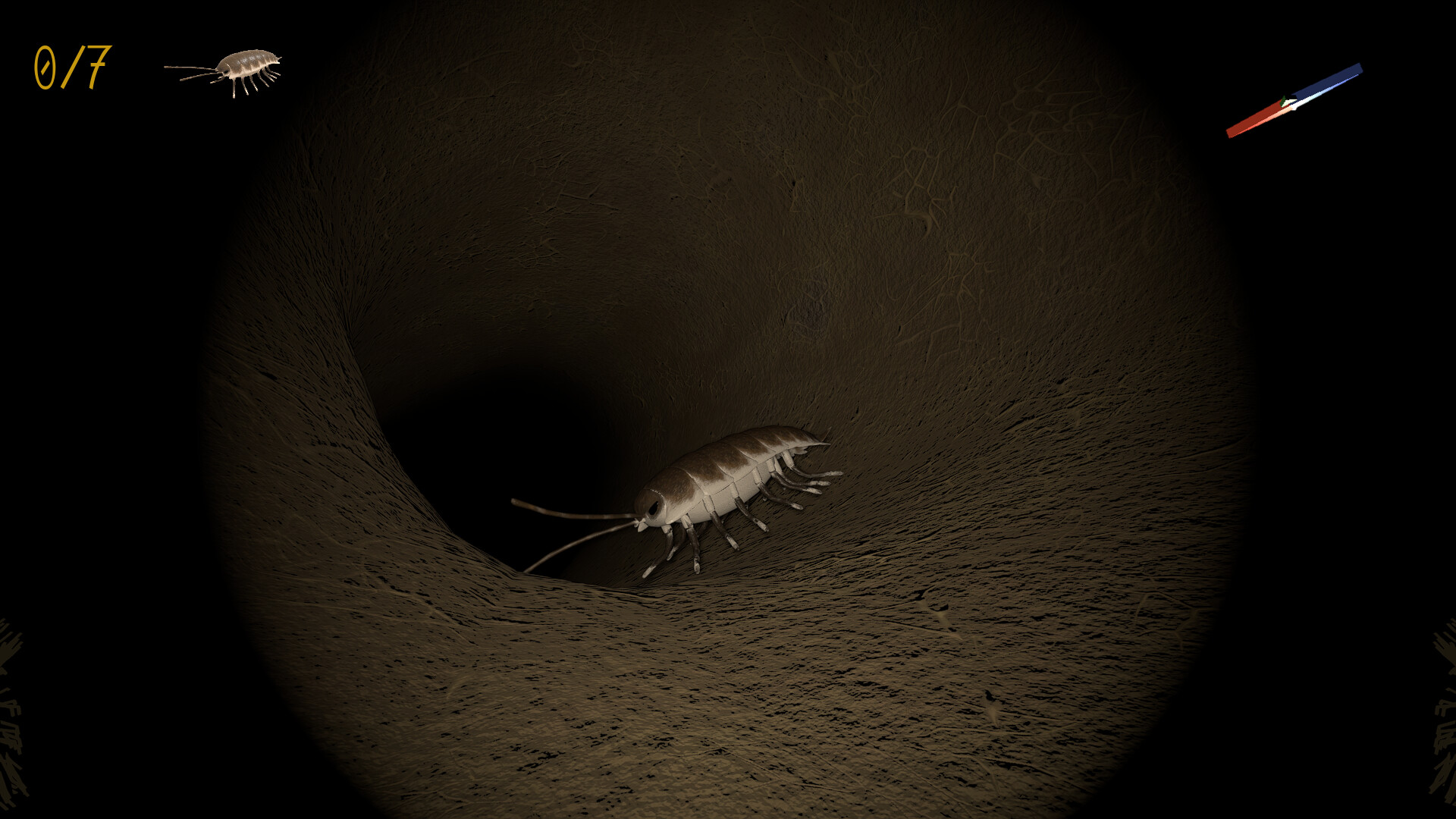 A little Jumpingspider's Garden Adventure (Day 1+2) Screenshot 4