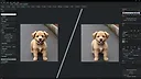 AltusPixel Screenshot 0