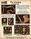 Fantasy Grounds - Maps: Winding Caverns Screenshot 3