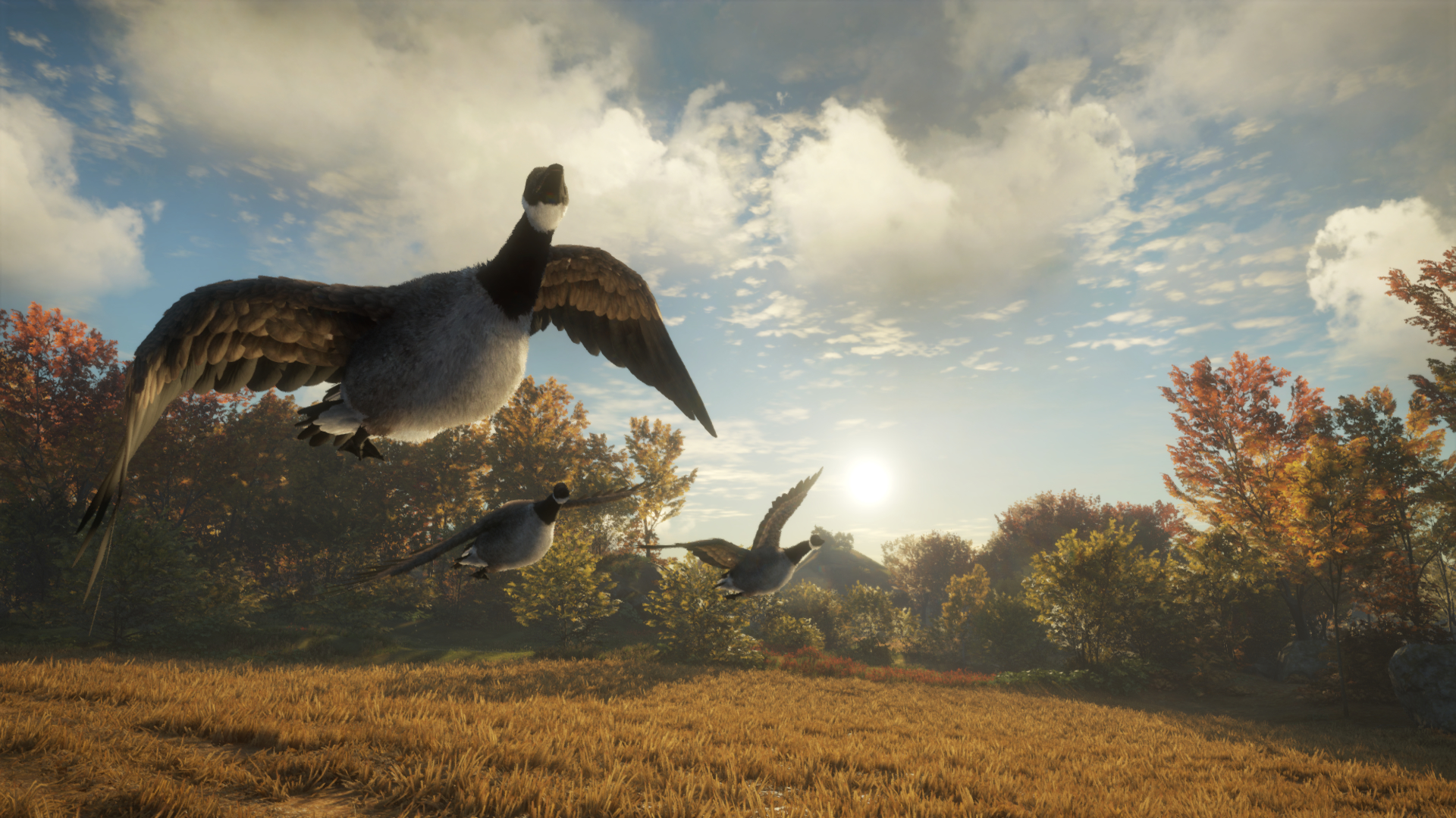 theHunter: Call of the Wild™ - Wild Goose Chase Gear Screenshot 0