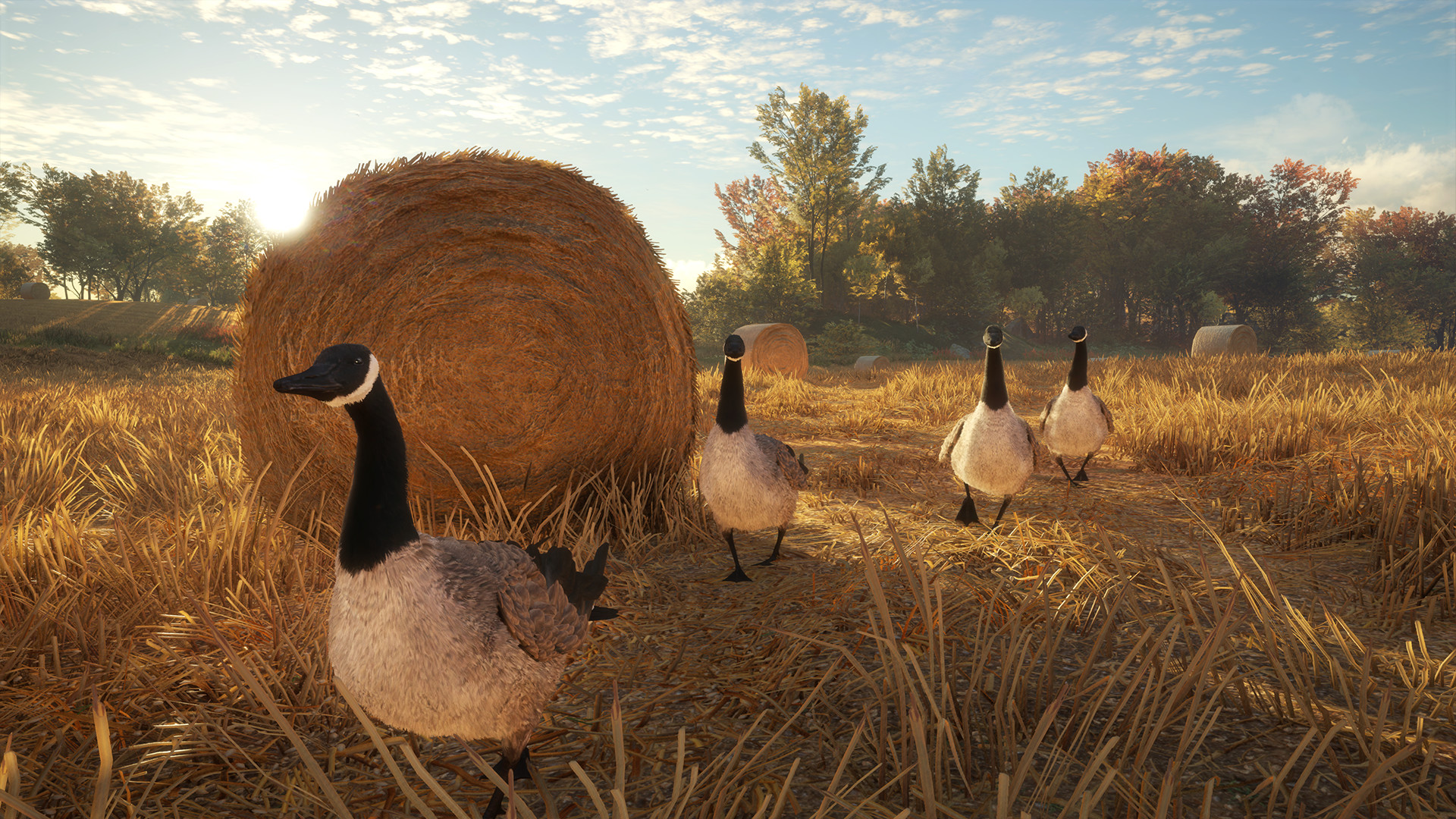 theHunter: Call of the Wild™ - Wild Goose Chase Gear Screenshot 8