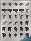 Fantasy Grounds - Top Down Tokens - Prisoners and Slaves Screenshot 1
