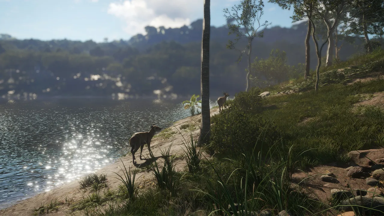 theHunter: Call of the Wild™ - Emerald Coast Australia Screenshot 4