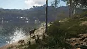 theHunter: Call of the Wild™ - Emerald Coast Australia Screenshot 4