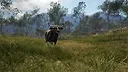 theHunter: Call of the Wild™ - Emerald Coast Australia Screenshot 6