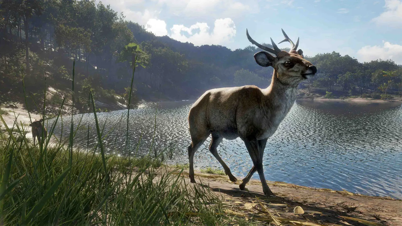 theHunter: Call of the Wild™ - Emerald Coast Australia Screenshot 10