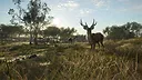theHunter: Call of the Wild™ - Emerald Coast Australia Screenshot 8
