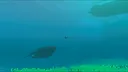 Enchanted Oceans Inc. Screenshot 3
