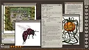Fantasy Grounds - BASIC02: A Frightful Time (5E) Screenshot 2