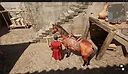 AMANAT  "Legend of the Caucasus" Screenshot 4