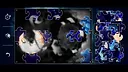 Frocat Puzzles - Official Soundtrack Screenshot 0