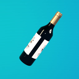 The Cheap Stuff icon