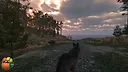 Freight Dogs Screenshot 2
