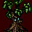 Possessed Tree icon