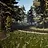 Forest Trail