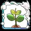 Cherry blossomA icon