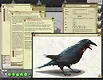 Fantasy Grounds - Mythic Monsters #28: Animals (PFRPG) Screenshot 2