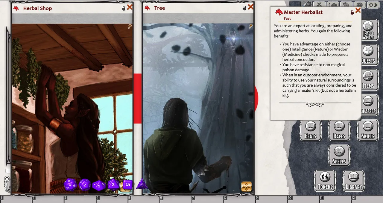 Fantasy Grounds - EN5ider: Nature's Remedy (5E) Screenshot 2