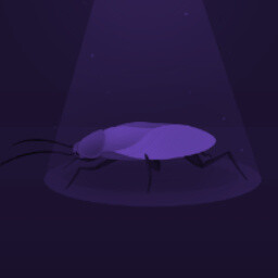 The Roach scurried icon