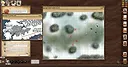 Fantasy Grounds - A04: Forest for the Trees (Savage Worlds) Screenshot 0