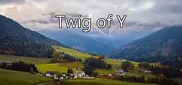 Twig of Y