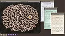 Fantasy Grounds - Fires of Iskh (5E) Screenshot 1