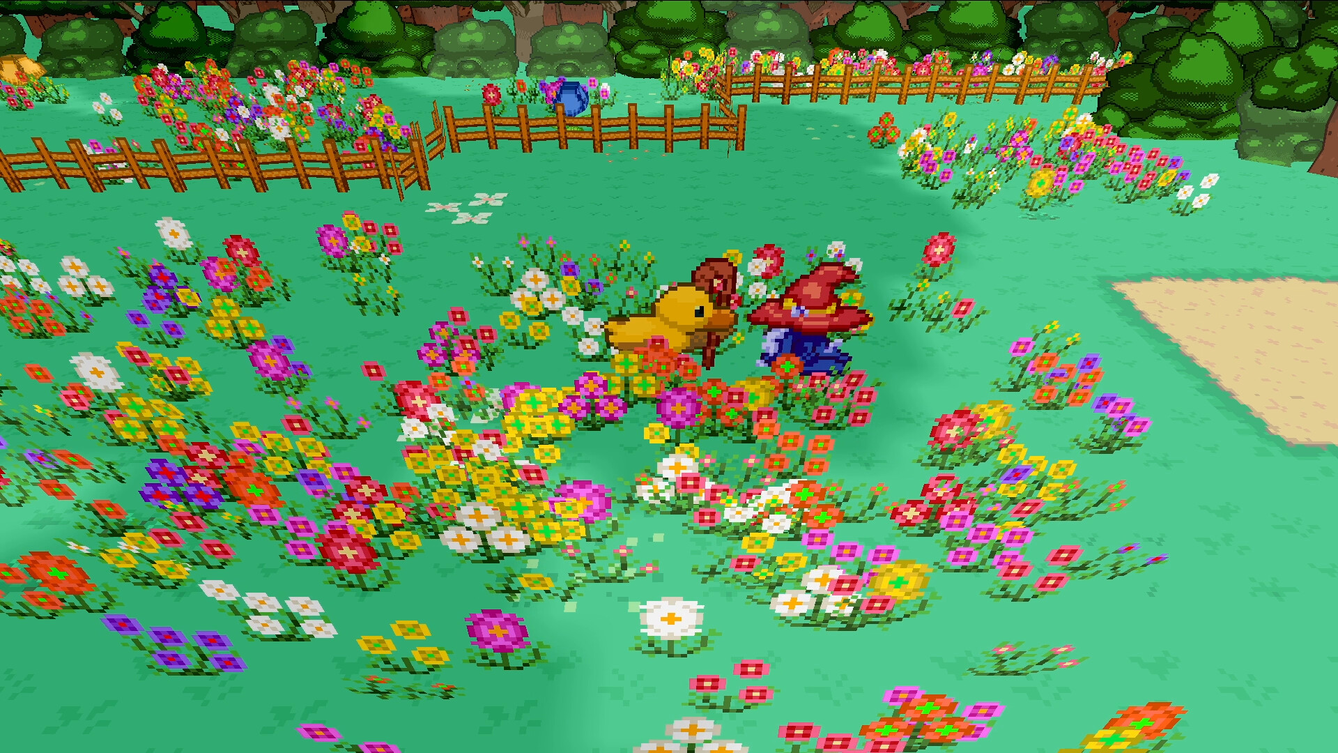 Wizarducks and the Lost Hat Screenshot 4