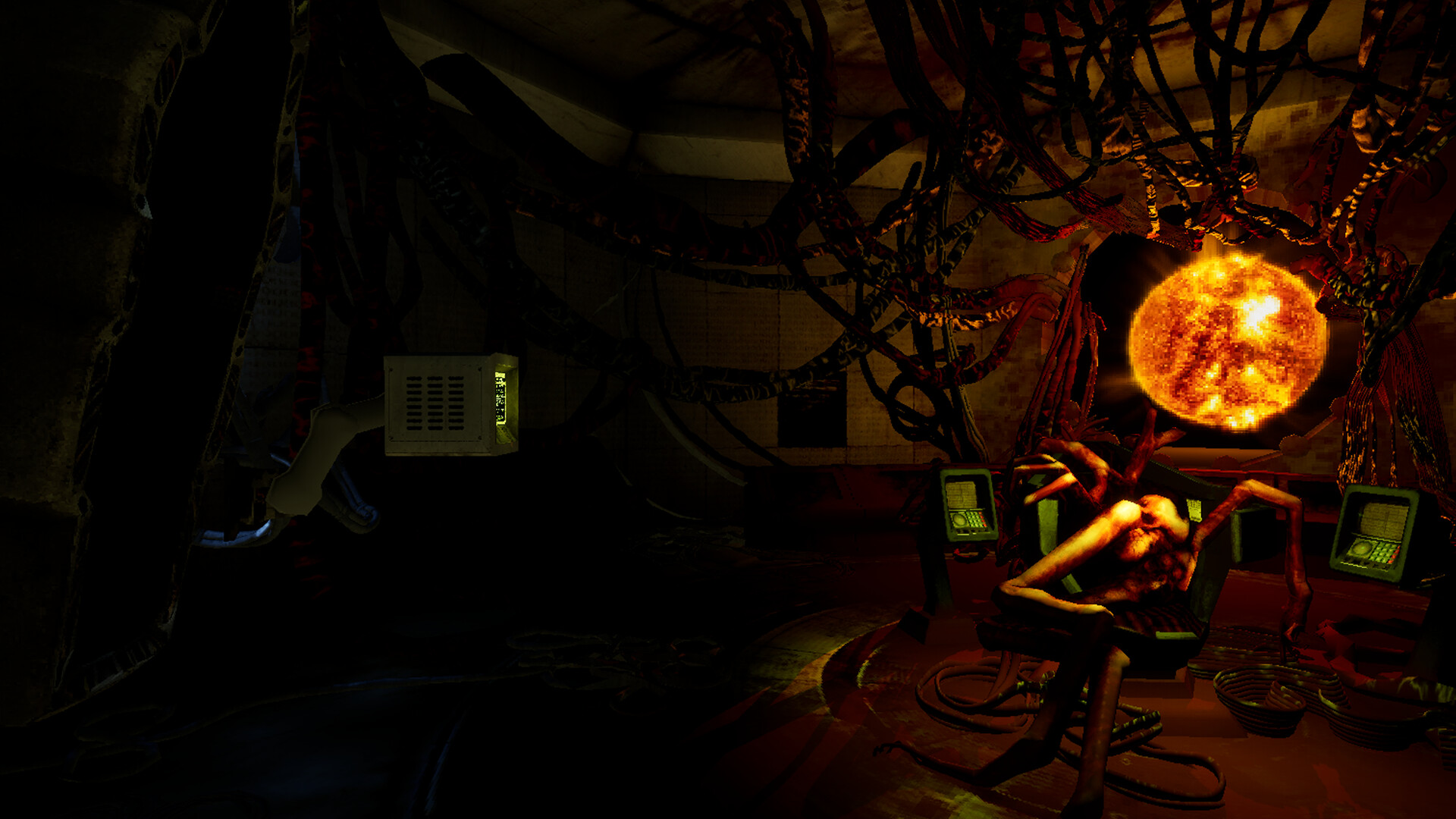 Ultrasound Screenshot 4