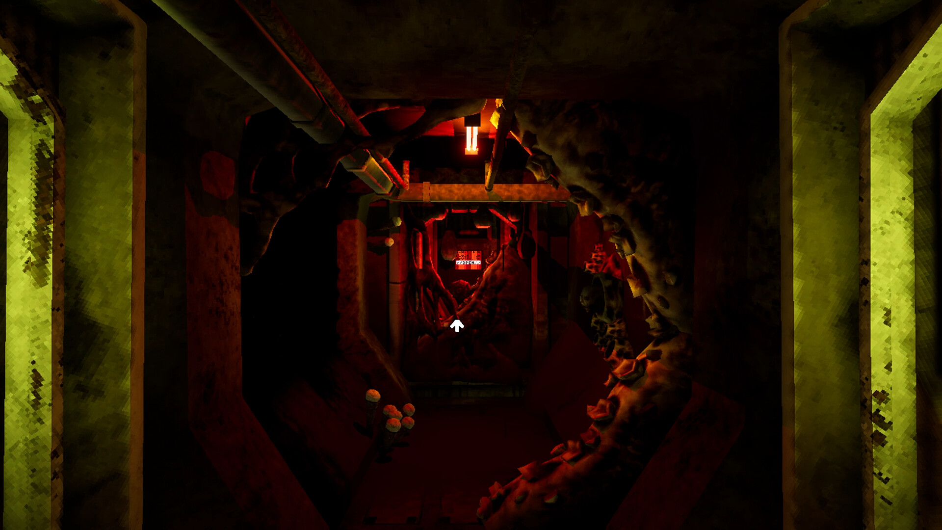 Ultrasound Screenshot 8