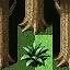 Gatherer of Herbs icon