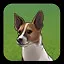 Tampering with Genetics icon