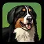 What a Good Boy! Help me Cheat icon