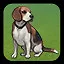 Training Dogs is Hard Work icon