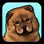 What a Cute Puppy! icon