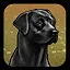 Graduate Games Approved icon