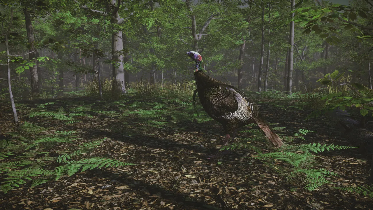 Pro Tukey Hunting Screenshot 4