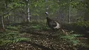 Pro Tukey Hunting Screenshot 4