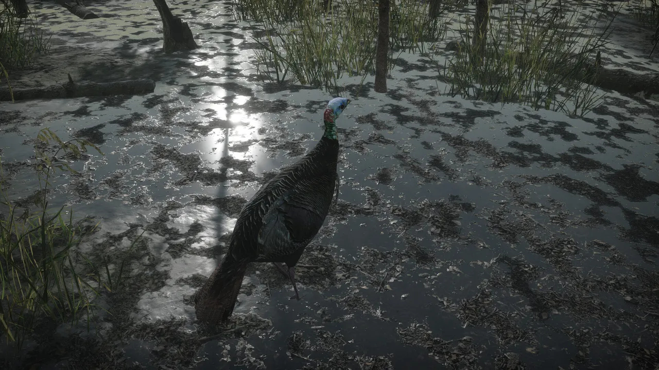 Pro Tukey Hunting Screenshot 2