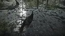 Pro Tukey Hunting Screenshot 2