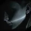 Into the Song icon