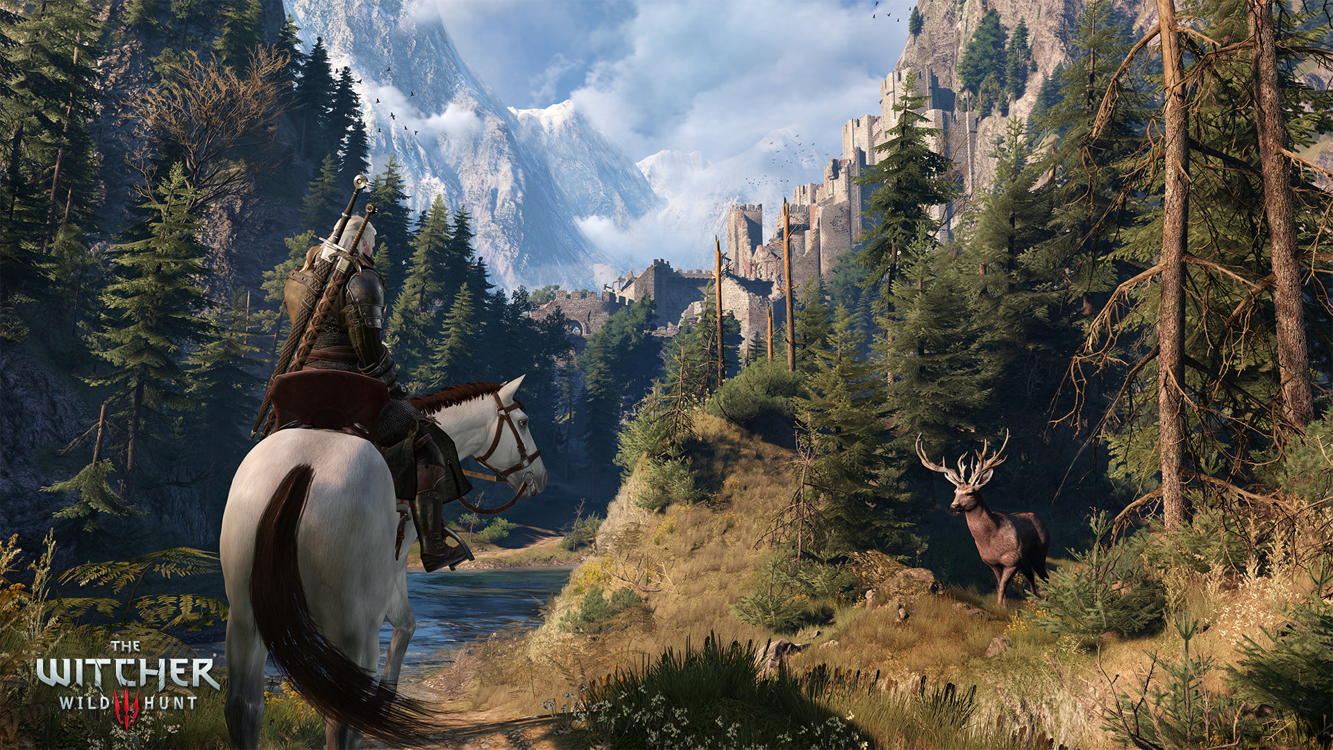 The Witcher 3: Wild Hunt Screenshot 16