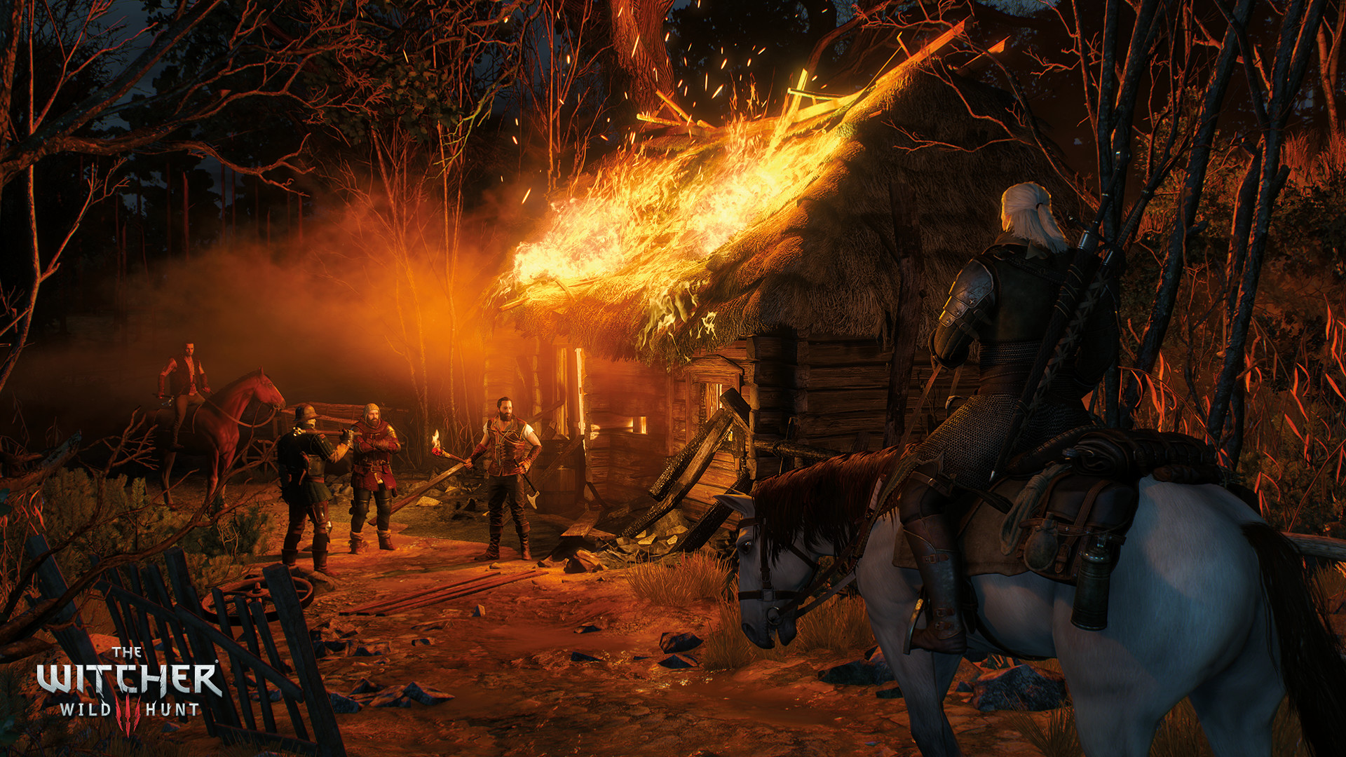 The Witcher 3: Wild Hunt Screenshot 14
