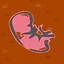 Baby Colony icon