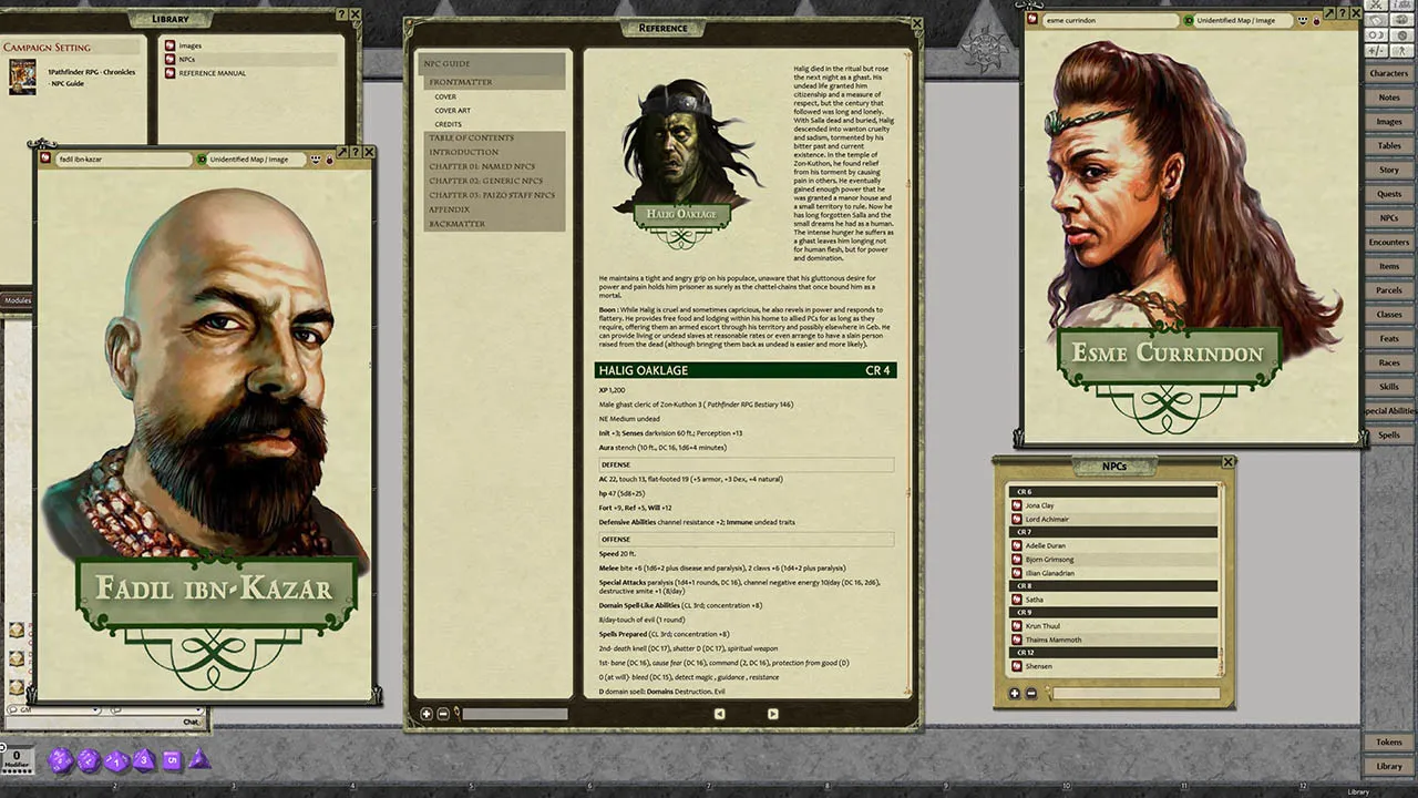 Fantasy Grounds - Pathfinder RPG - Chronicles: NPC Guide Screenshot 3