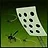 Social Dead Butterfly