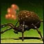 It's Bomber icon