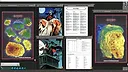 Fantasy Grounds - D&D Classics: Ravenloft: Realm of Terror (2E) Screenshot 2