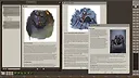 Fantasy Grounds - Drider of the Underworld Screenshot 3