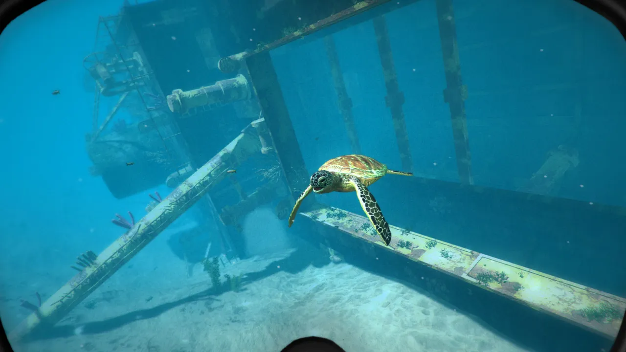World of Diving Screenshot 9